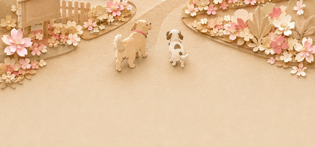広場の入口。2匹の犬が道の奥へ歩いていく。